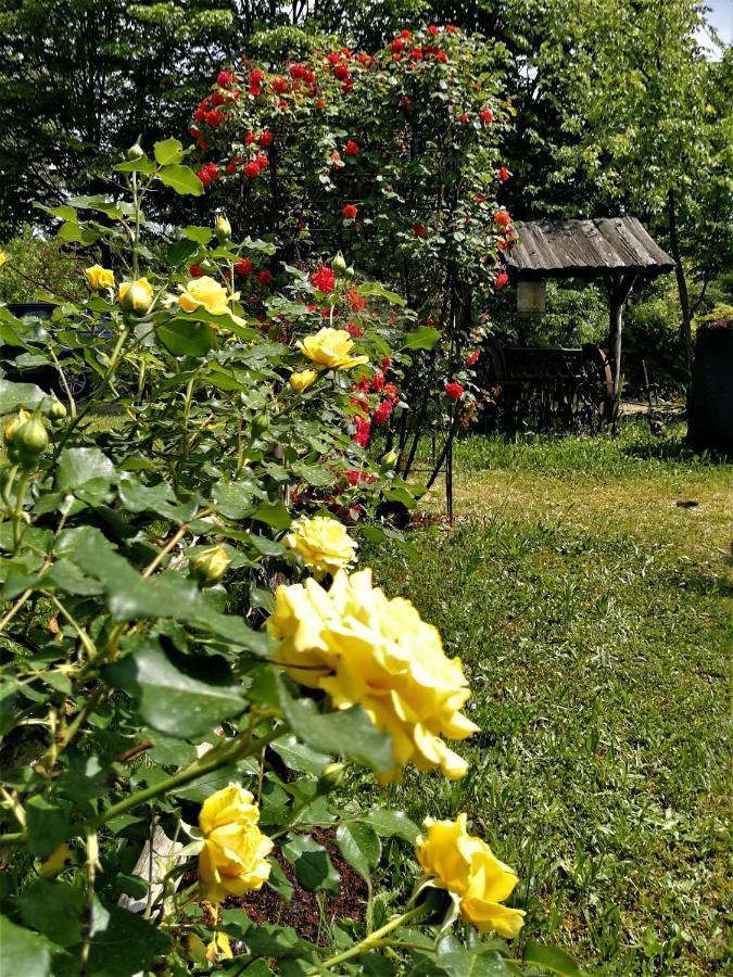 La Valle Nervesa della Battaglia Eksteriør billede